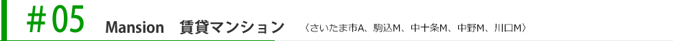 #05 Mansion　賃貸マンション 〈さいたま市A、駒込M、中十条M、中野M、川口M〉